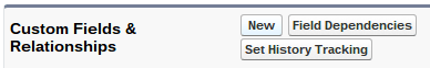 New Custom Field Custom Object Salesforce