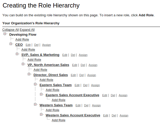 Role Hierarchy Old